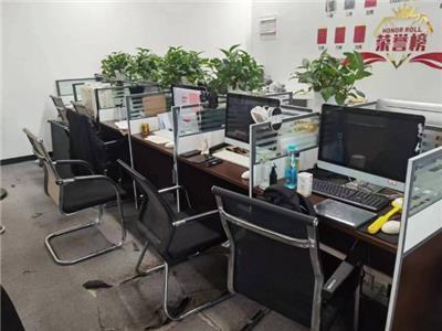 软件批发 价格优势与市场机遇分析