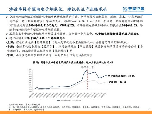 东吴证券 从思摩尔看电子烟黄金时代——计算机批发视角